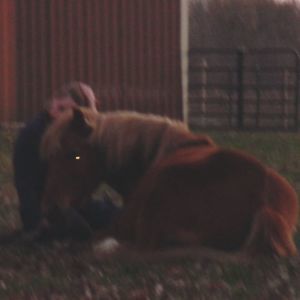 Meet your Posher, Kirsten